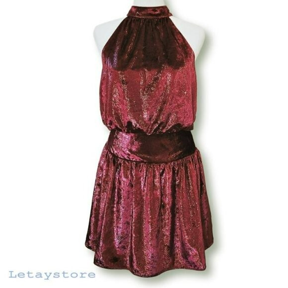 NWT Gorgeous RAMY BROOK Shimmer Velvet Ellin Party Cocktail Mini Dress - Picture 3 of 5